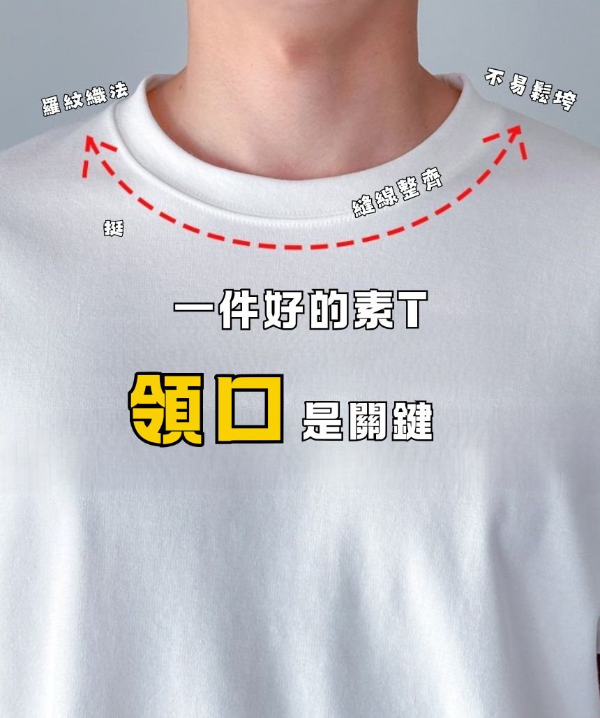 基本款 抗皺 素面 長袖 素T / 5色